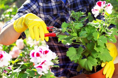 Gardening team beginning work in a residential garden with safety gear