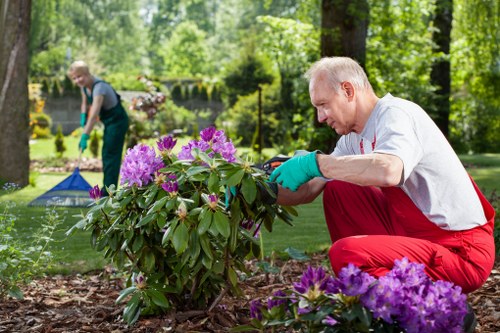 Team of gardeners working in a Crouch End street garden
