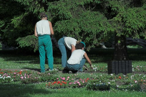 Man and van preparing to load garden debris for removal