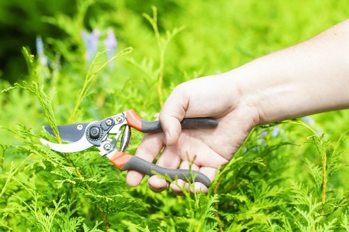 Training session for gardeners with instructor demonstrating safe tool use