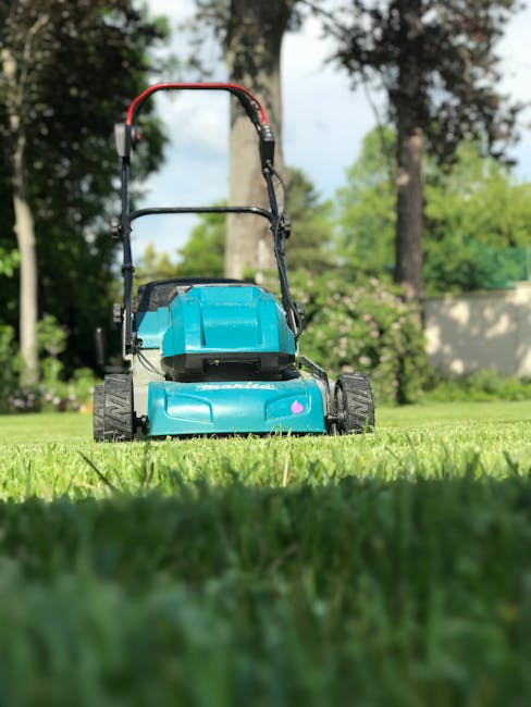 A blue push lawn mower with black wheels and a red and black handlebar is positioned on a well-maintained green lawn in a garden. The garden features neatly trimmed grass, garden beds with flowering s