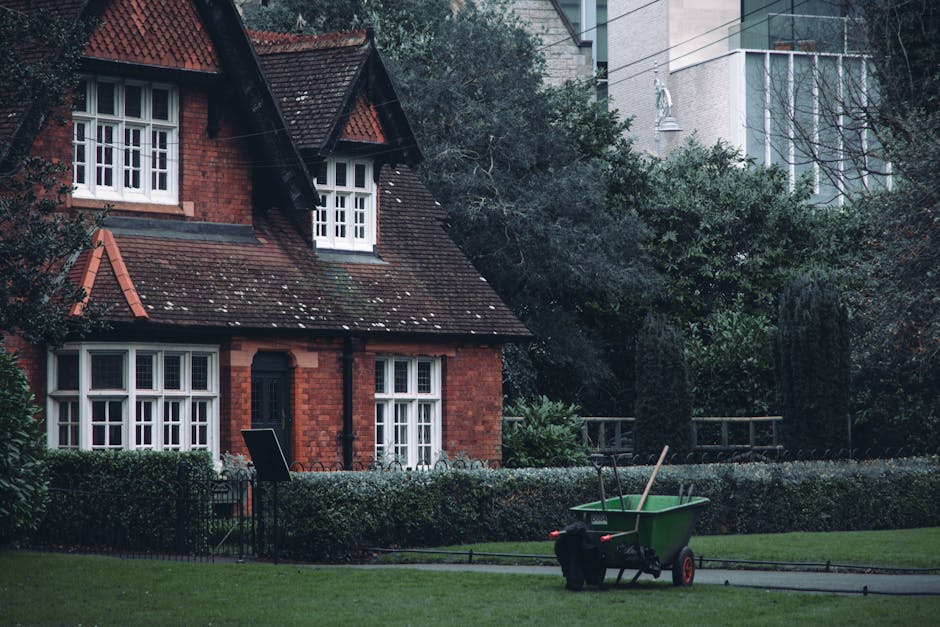A well-maintained garden with a neatly mowed green lawn bordered by garden beds filled with a variety of plants and shrubs. In the background, there are tall, trimmed hedges and mature trees casting d